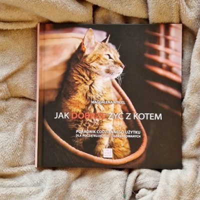Książka o kotach Jak dobrze żyć z kotem 03